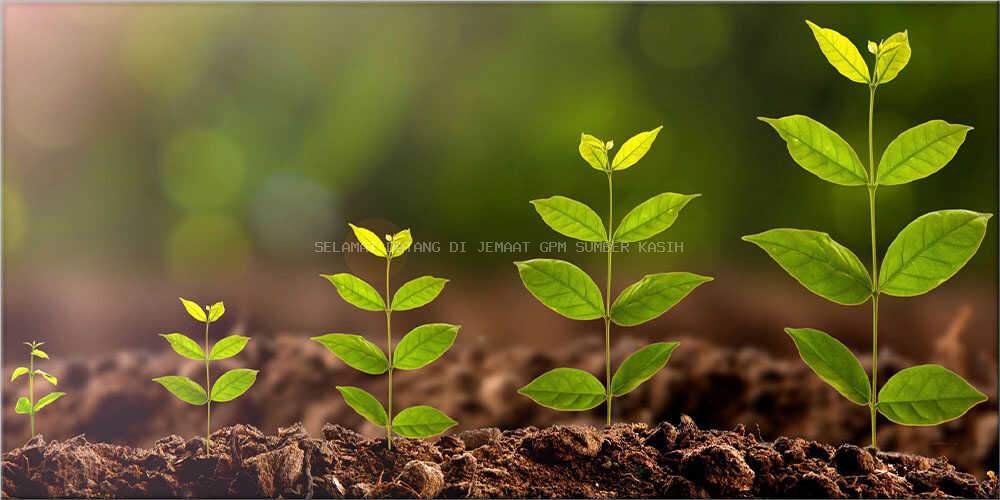 SANTAPAN HARIAN KELUARGA, MINGGU, 08 SEPTEMBER 2024, EZRA 1 : 1 - 11 SUMBER DAYA UNTUK PEMBANGUNAN  PELAYANAN