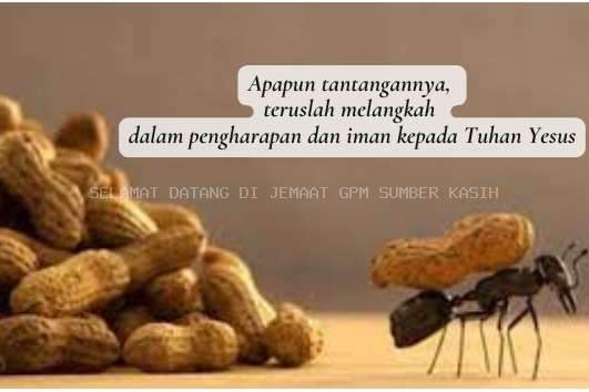 SANTAPAN HARIAN KELUARGA, Senin, 24 Februari 2025, Ibrani 10 : 19 - 23, Tahan untuk Beriman